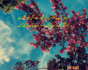 Faiz Ahmed Best P0ETRY